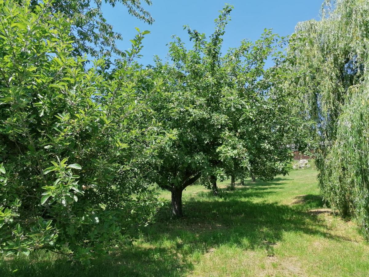Bed and Breakfast Le Noyer Rougnat Экстерьер фото